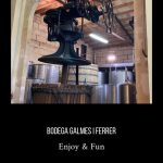 Bodegas-Mallorca-auténticas-Gsalmés-i-ferrer